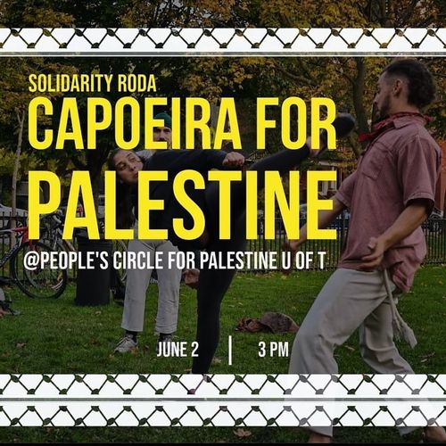 Solidarity Roda - Capoeira for Palestine